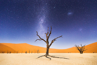 Illustration for article titled Here Are the Winners of National Geographic's Traveler Photo Contest